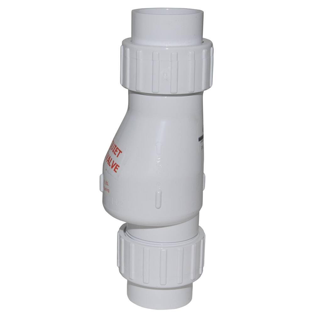 Zoeller 30-0243 2 in. PVC Swing Union Check Valve, White