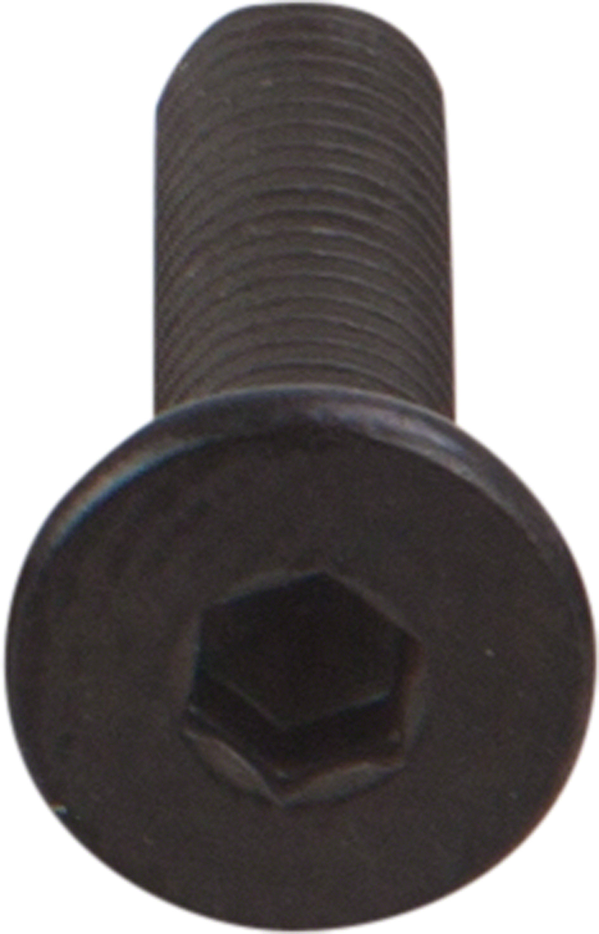 Low Profile Screws M5 (10 Pack)