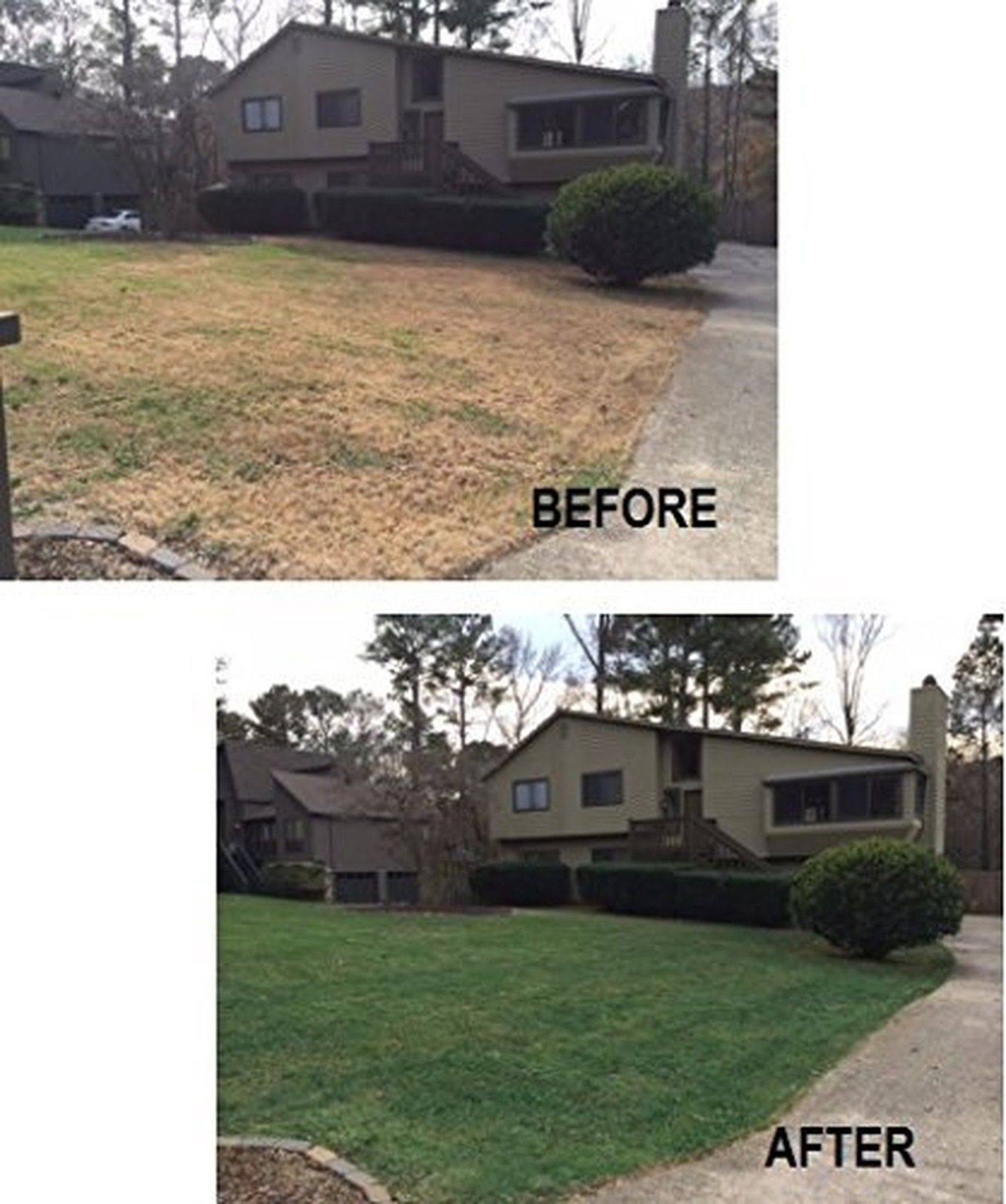 EnviroColor 1,000 Sq. ft. 4Evergreen Grass and Turf Paint, Green