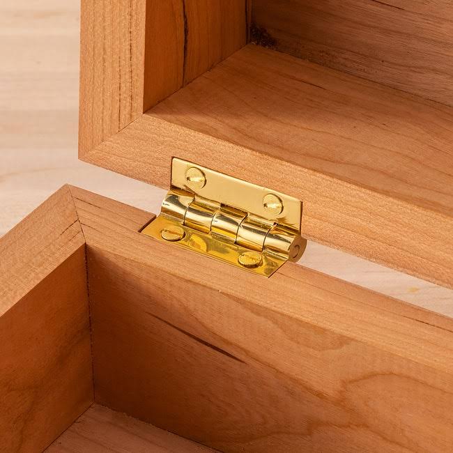 Vertex Stop Hinge Polished Brass 1-1/2