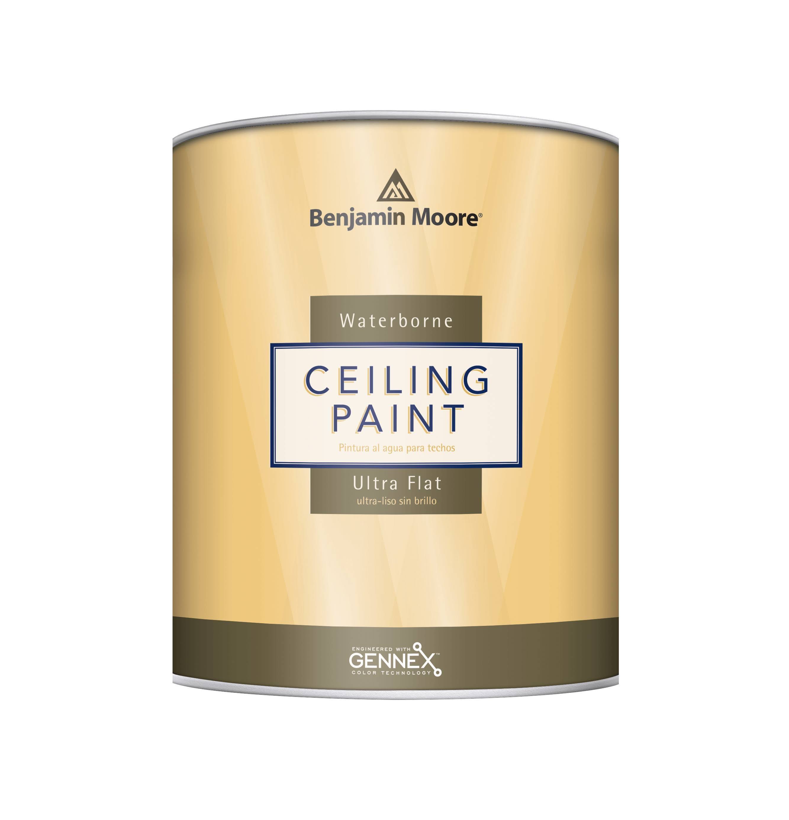 Benjamin Moore 1 Gallon Waterborne Ultra Flat White Ceiling Paint