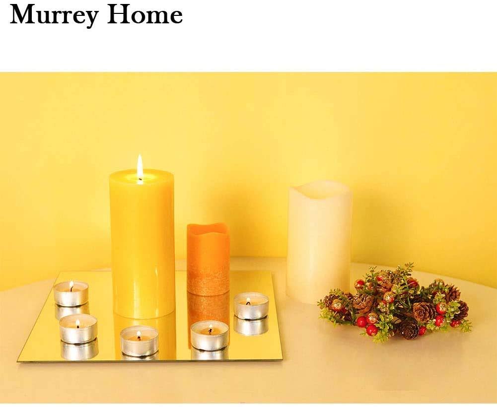 Murrey Home Gym Mirrors 12