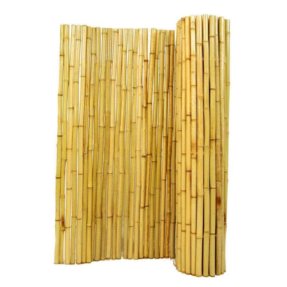 Backyard X-Scapes 6-ft x 6-ft Natural Tan Bamboo Fencing Rolled Fencing in Yellow | LW-DS-BFN66
