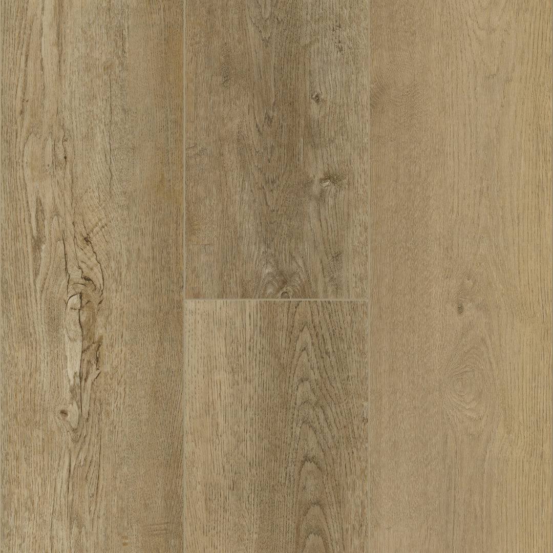 Driftwood Shore Legends Flooring Sample, by Cali Vinyl