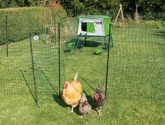 Omlet Chicken Fencing MK2- 105ft- Inc. Gate, Poles and Guy Lines