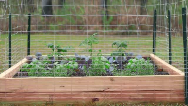 Garden Zone Galvanized Rabbit Guard, 28 in x 50 ft