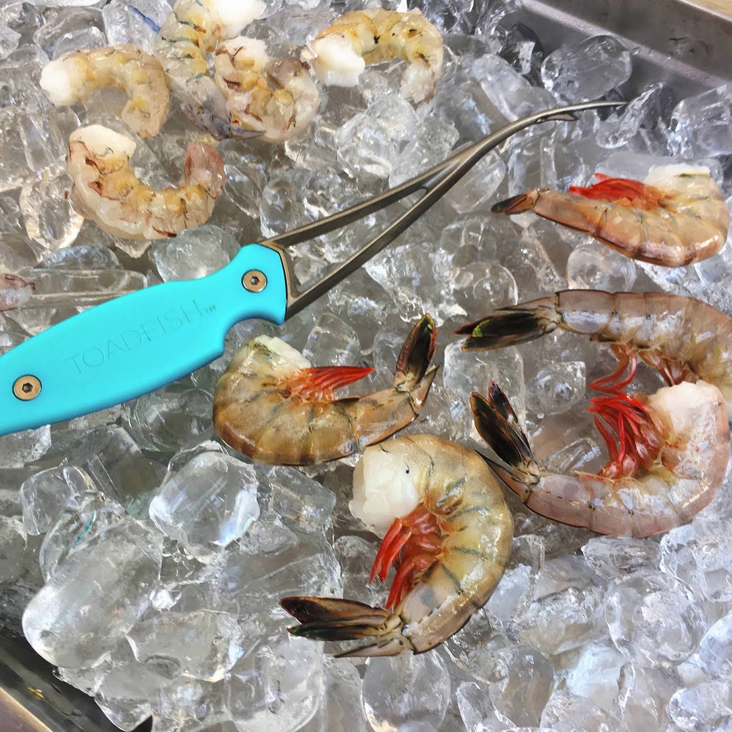 Frogmore Shrimp Cleaner Toadfish