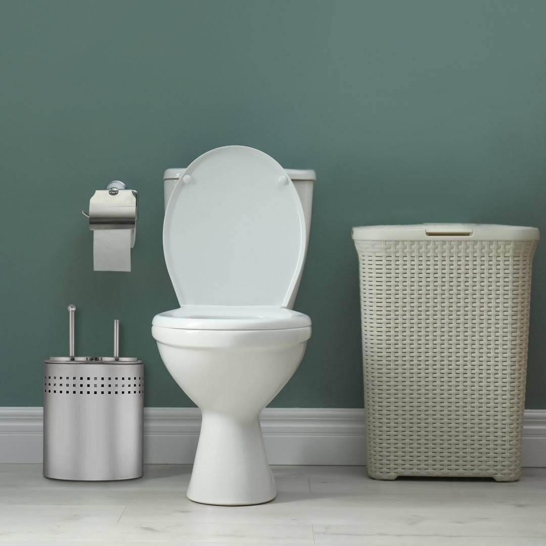 Blue Donuts Toilet Brush and Plunger Combo Set Chrome Size: Standard Silver