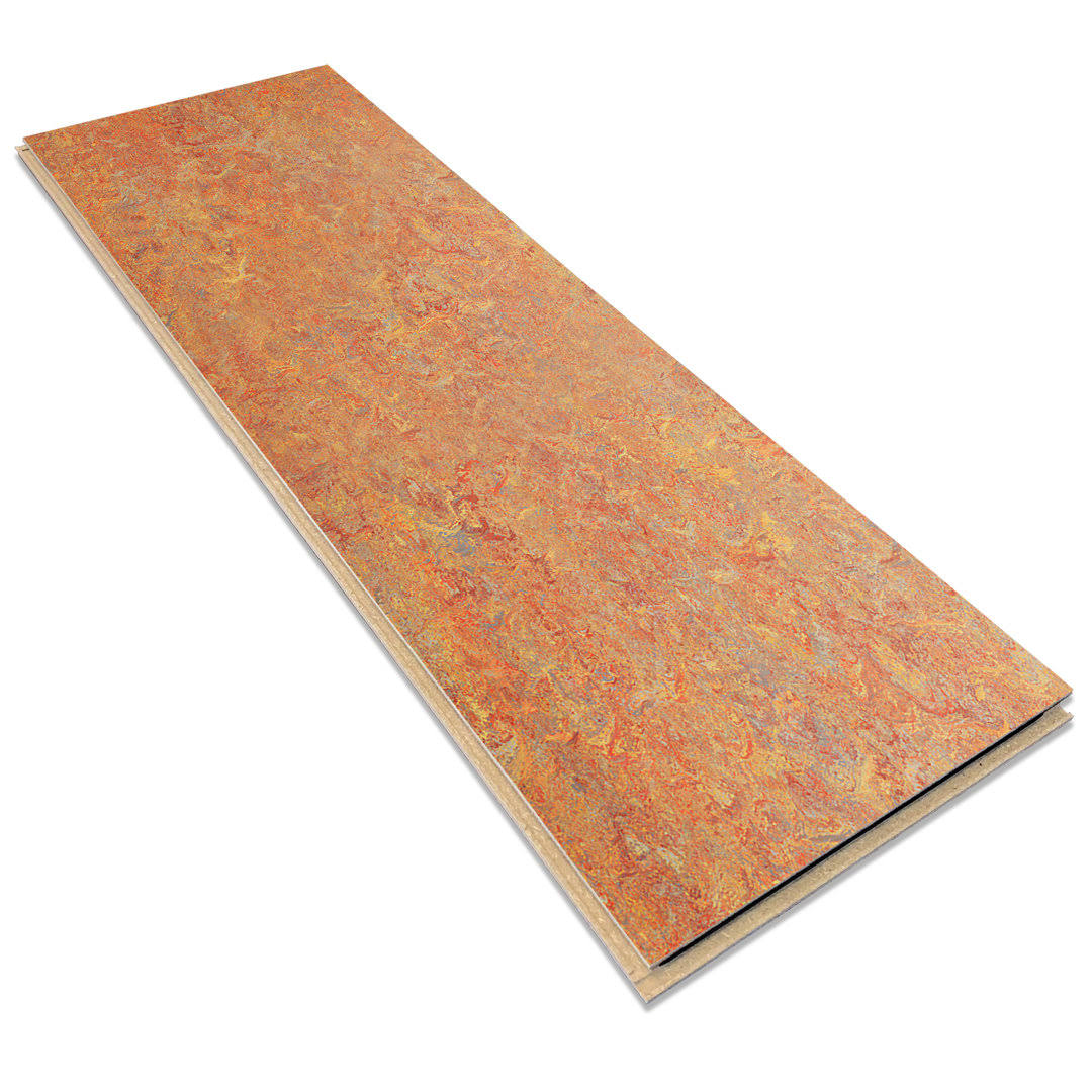 Forbo Cinch LOC Seal Asian Tiger 9.8 mm T x 11.81 in. W x 35.43 in. L Laminate Flooring (20.34 Sq. ft./Case)