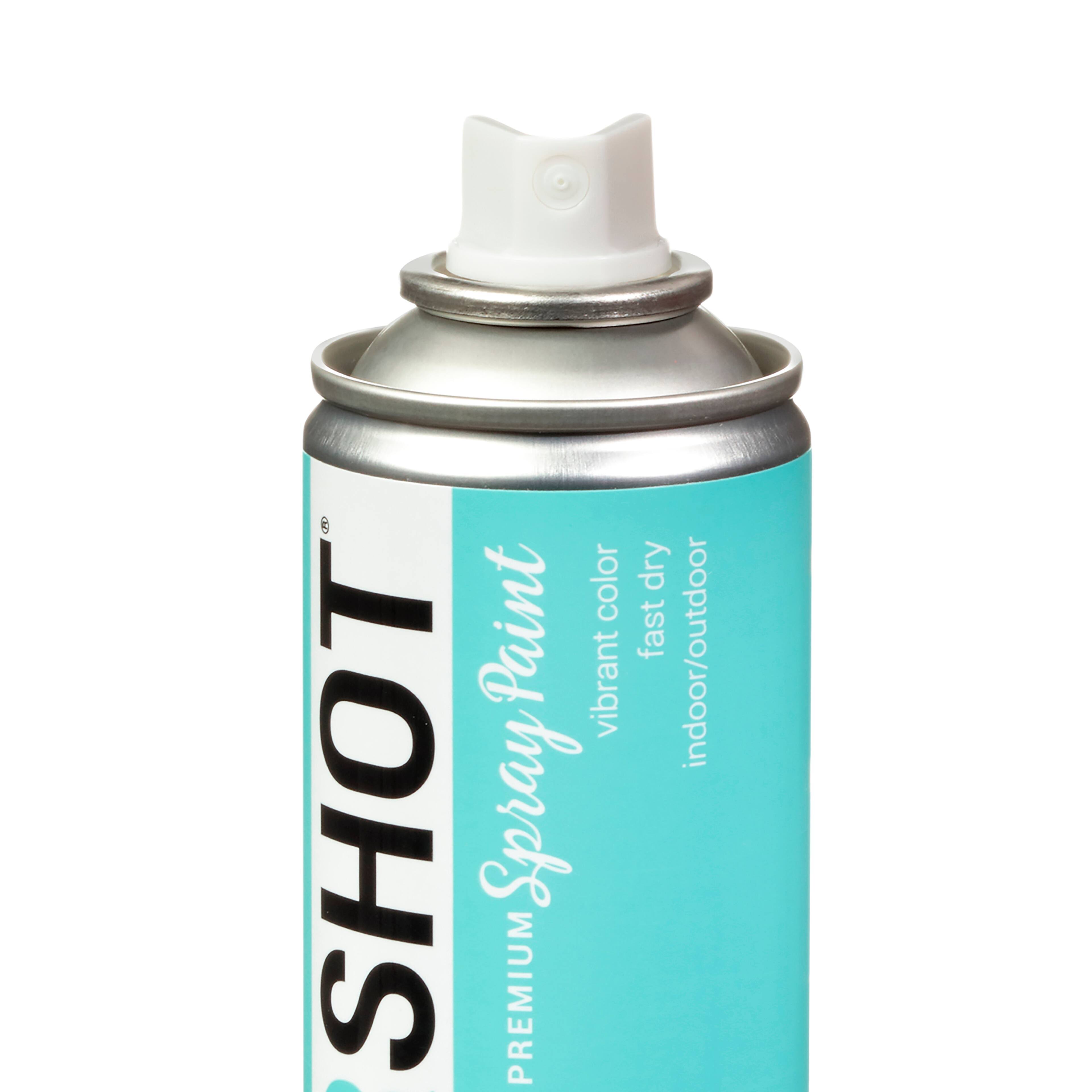 Colorshot Aerosol Spray Paint 10oz- Island Girl- Mint- Gloss