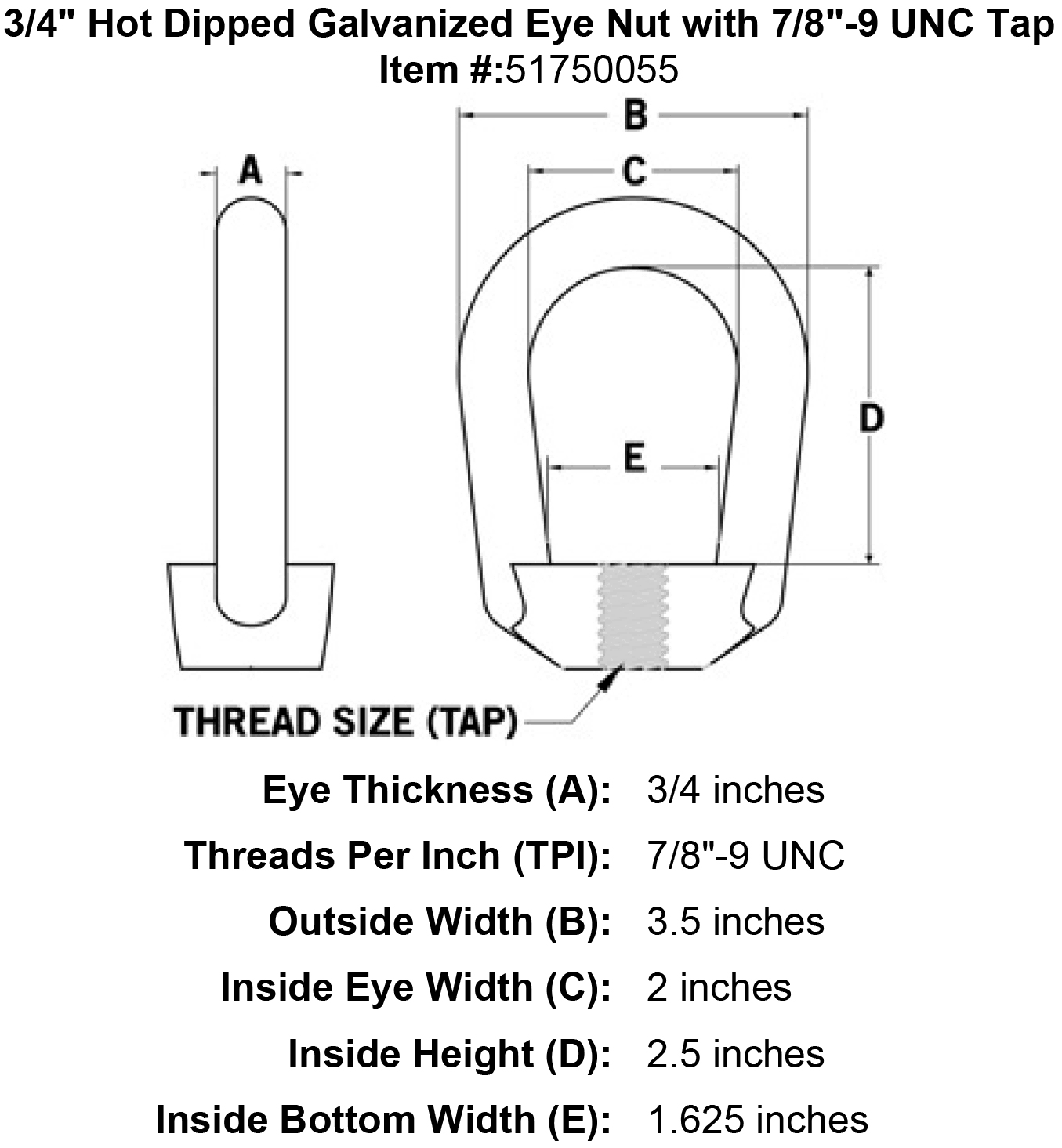 3 4 Hot Dipped Galvanized Eye Nut with 7 8-9 UNC Tap