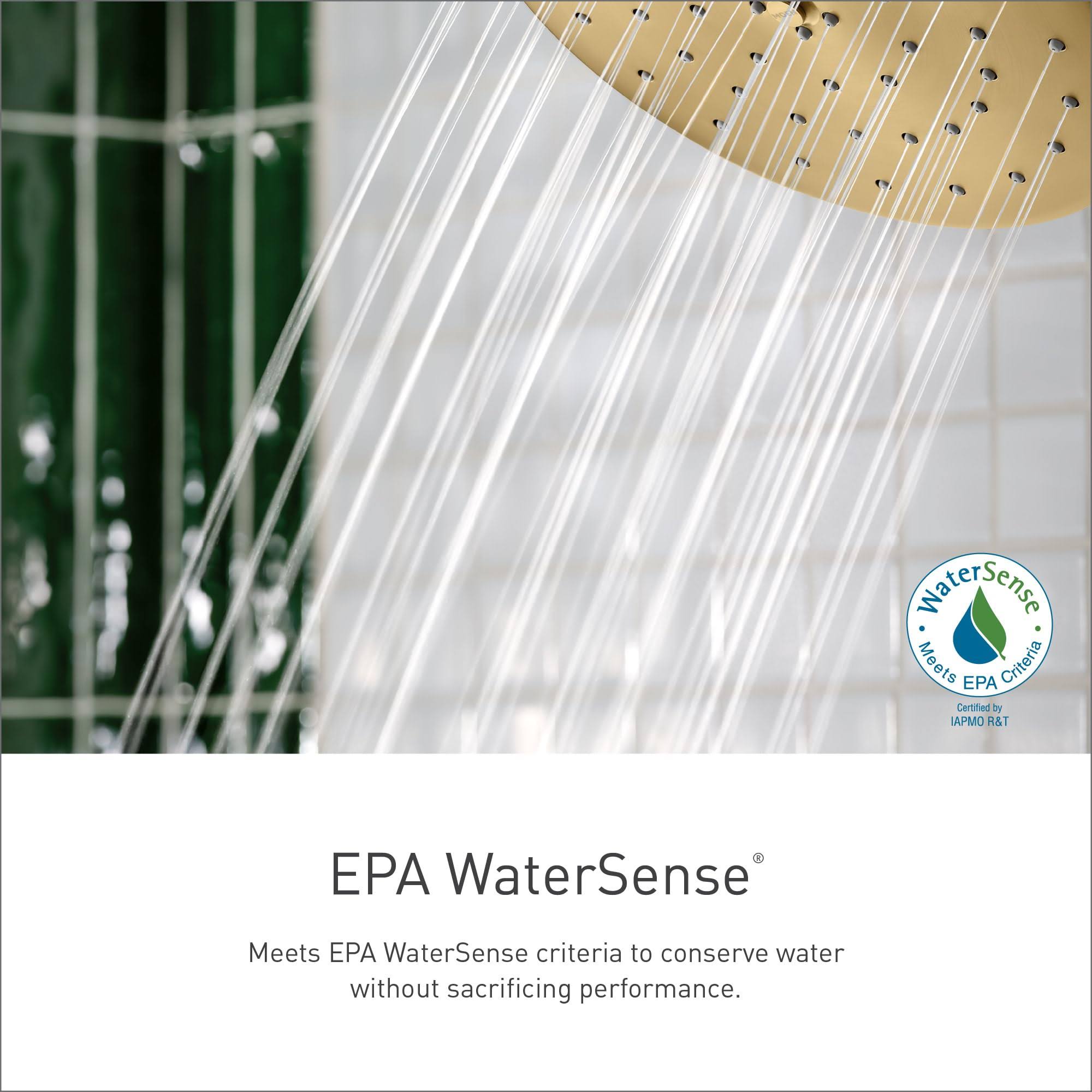 Moen 26100EP Engage Handshower Chrome