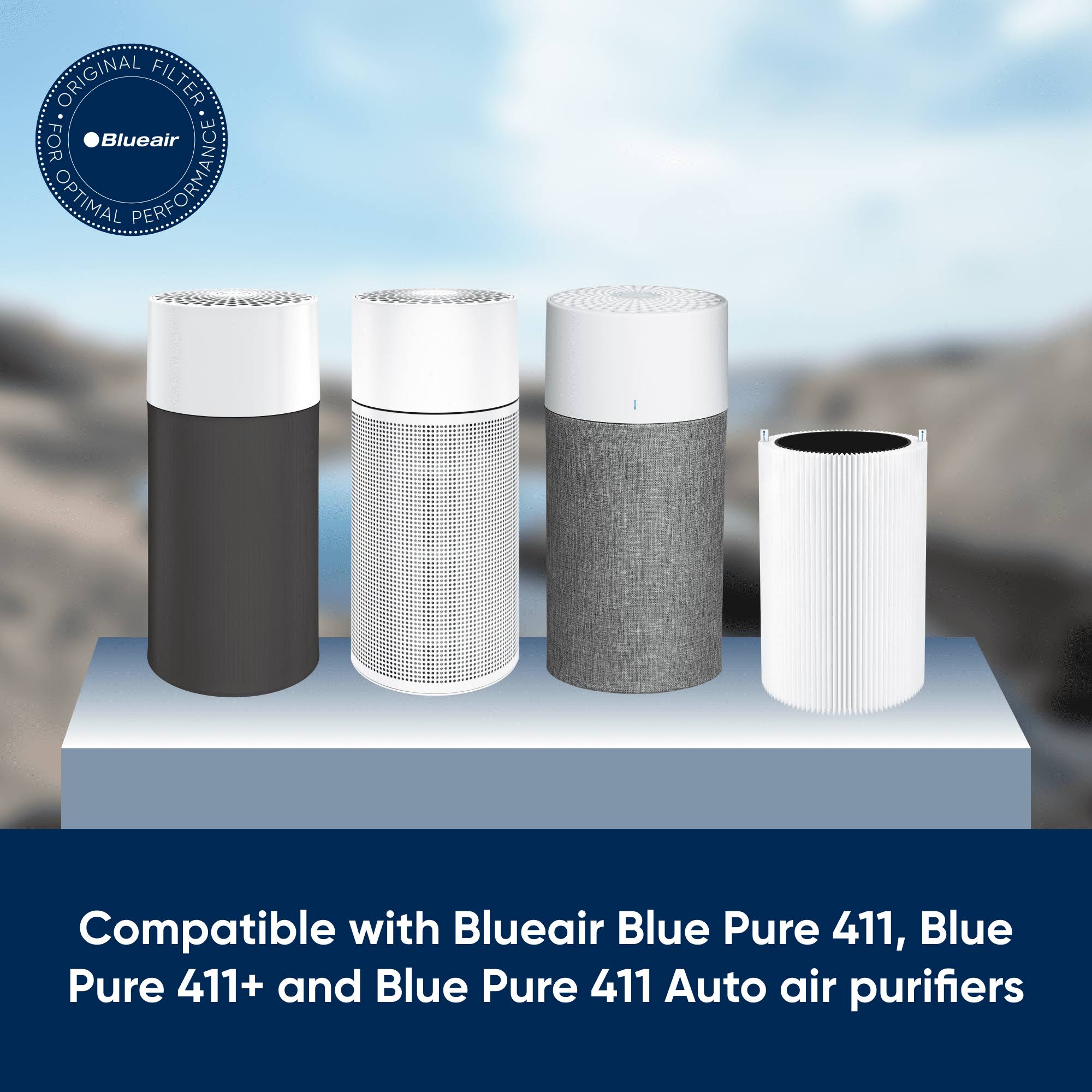 Blueair Blue Pure 411 Replacement Particle Filter and Carbon