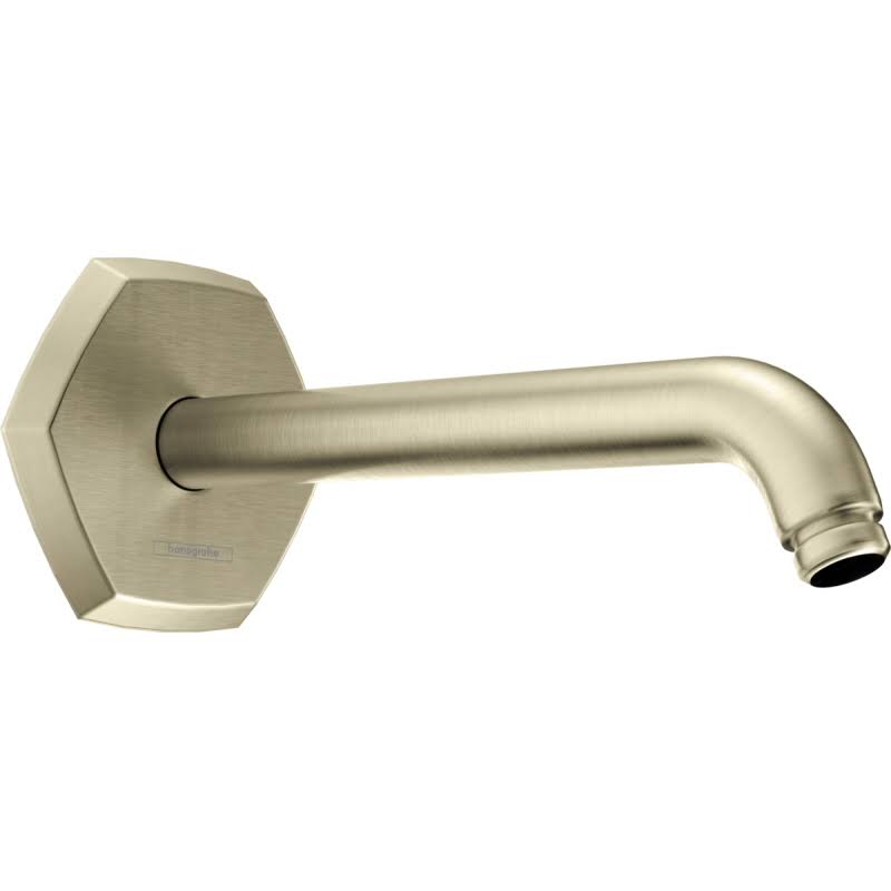 Hansgrohe 28496821 Clubmaster Brushed Nickel Showerhead