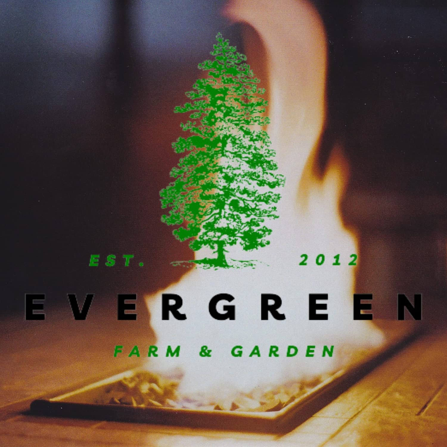 Evergreen Farm and Garden Coleman Propane Replacement Fuel Cylinders 16 oz Camping Fuel Bundled