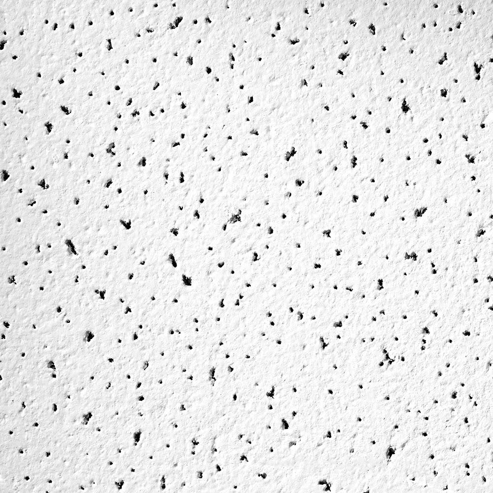 Armstrong Ceilings 12-in x 12-in 741