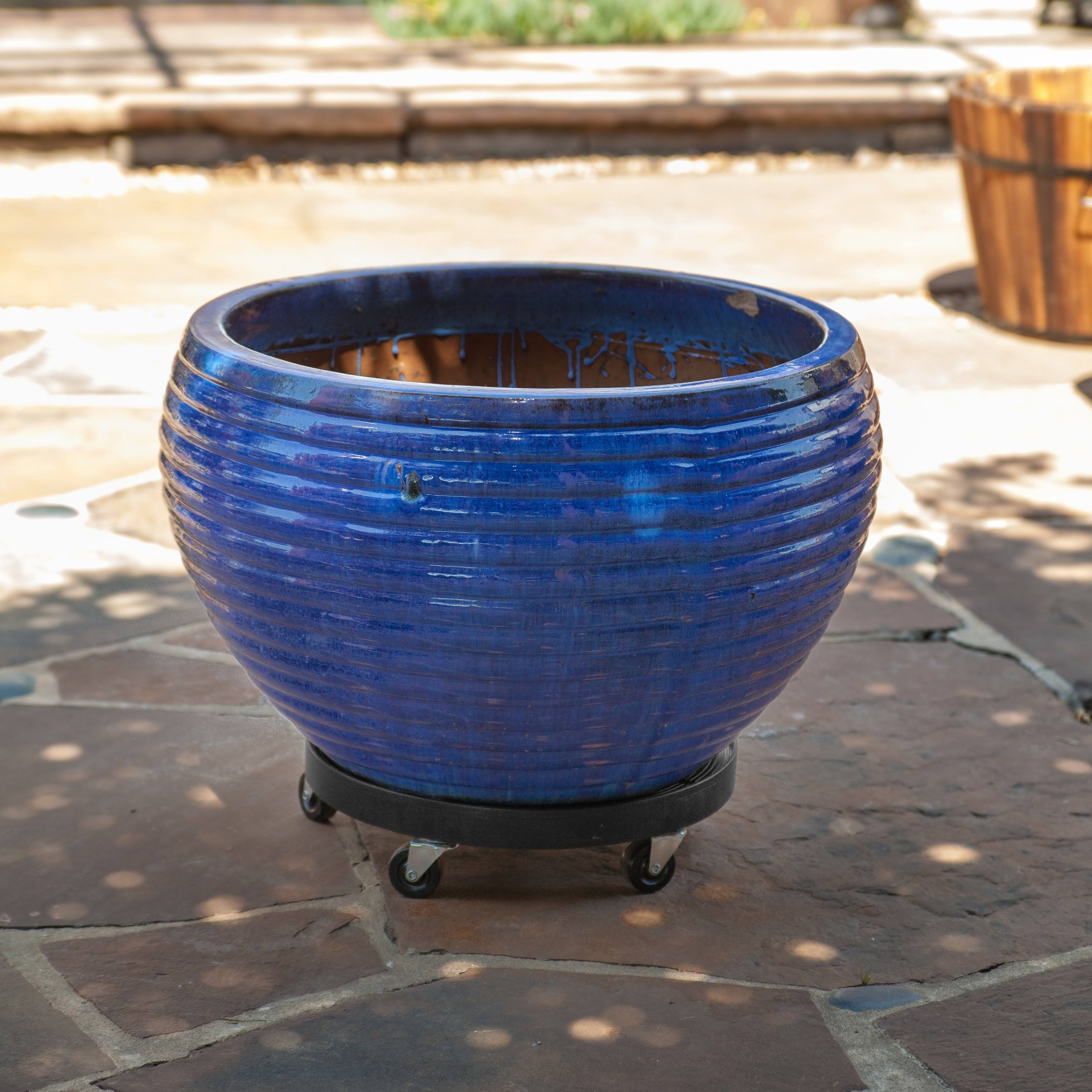 Devault Plant Dolly, Black, 16