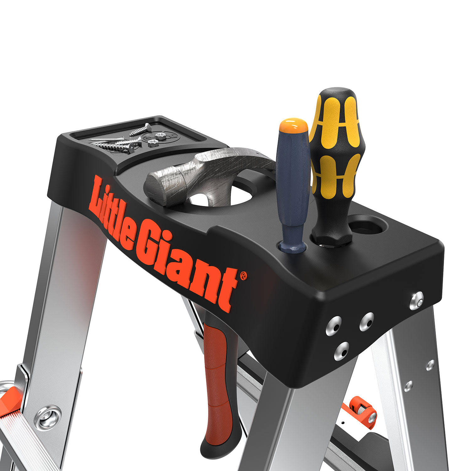 SmartStep Ladder- Each