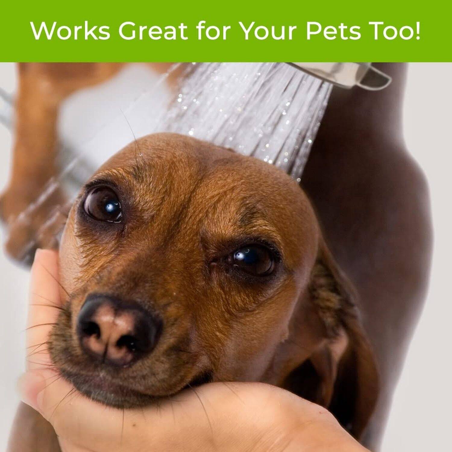 WaterChef Premium Shower Filter System SF-7C with Deluxe Wand (Brushed Nickel)