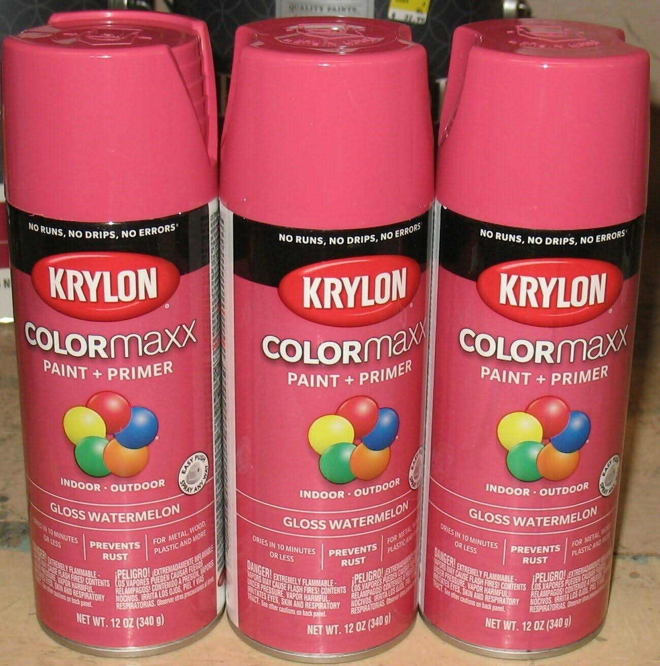 Krylon K05544007 COLORmaxx Spray Paint Gloss Watermelon 12 Ounce
