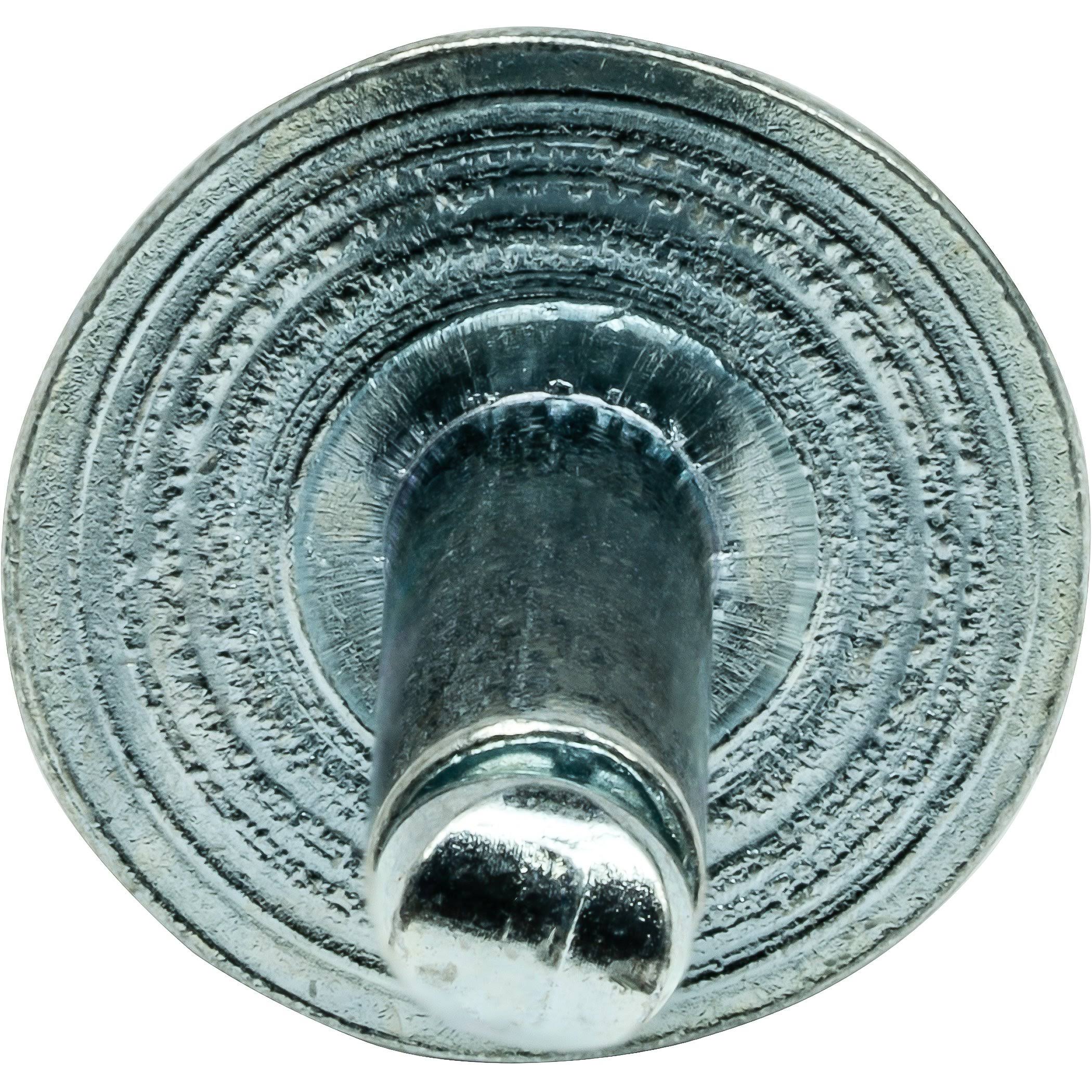 Fastenere Large Flange Pop Rivets 1/4