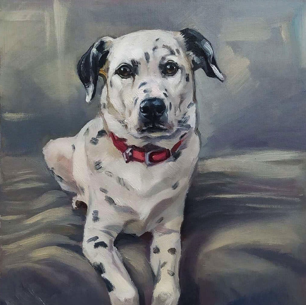 Pet portrait Personality Dalmatian oil portrait