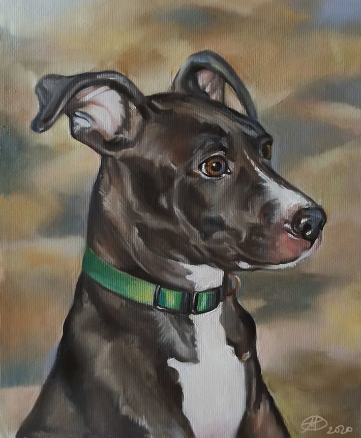 pet portraits painting Dog portraits oil painting on canvas Handmade Father's day gift