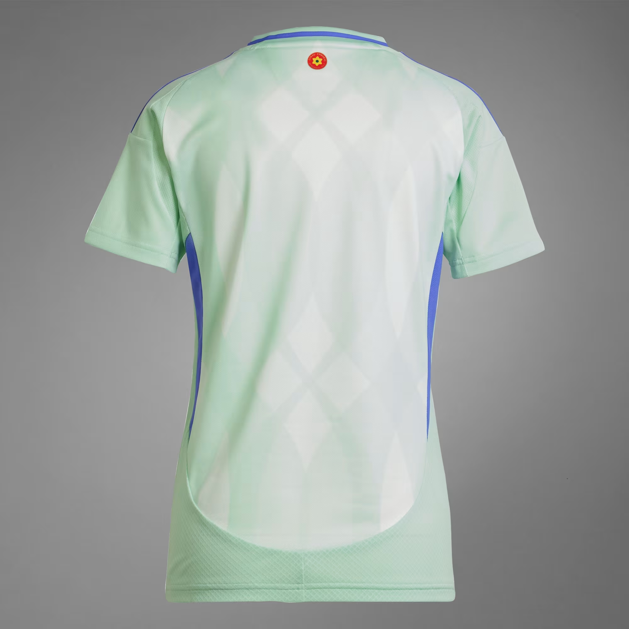 Maillot Extérieur Équipe Féminine Pays de Galles 2025 Homme Maillot Extérieur Équipe Féminine Pays de Galles 2025 Homme