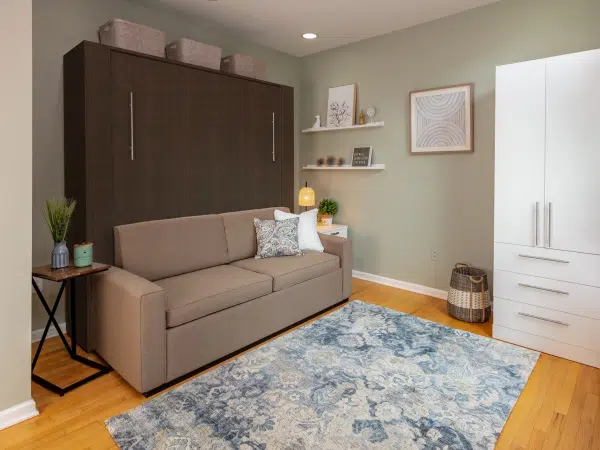 Sofa Wall Bed-furniture