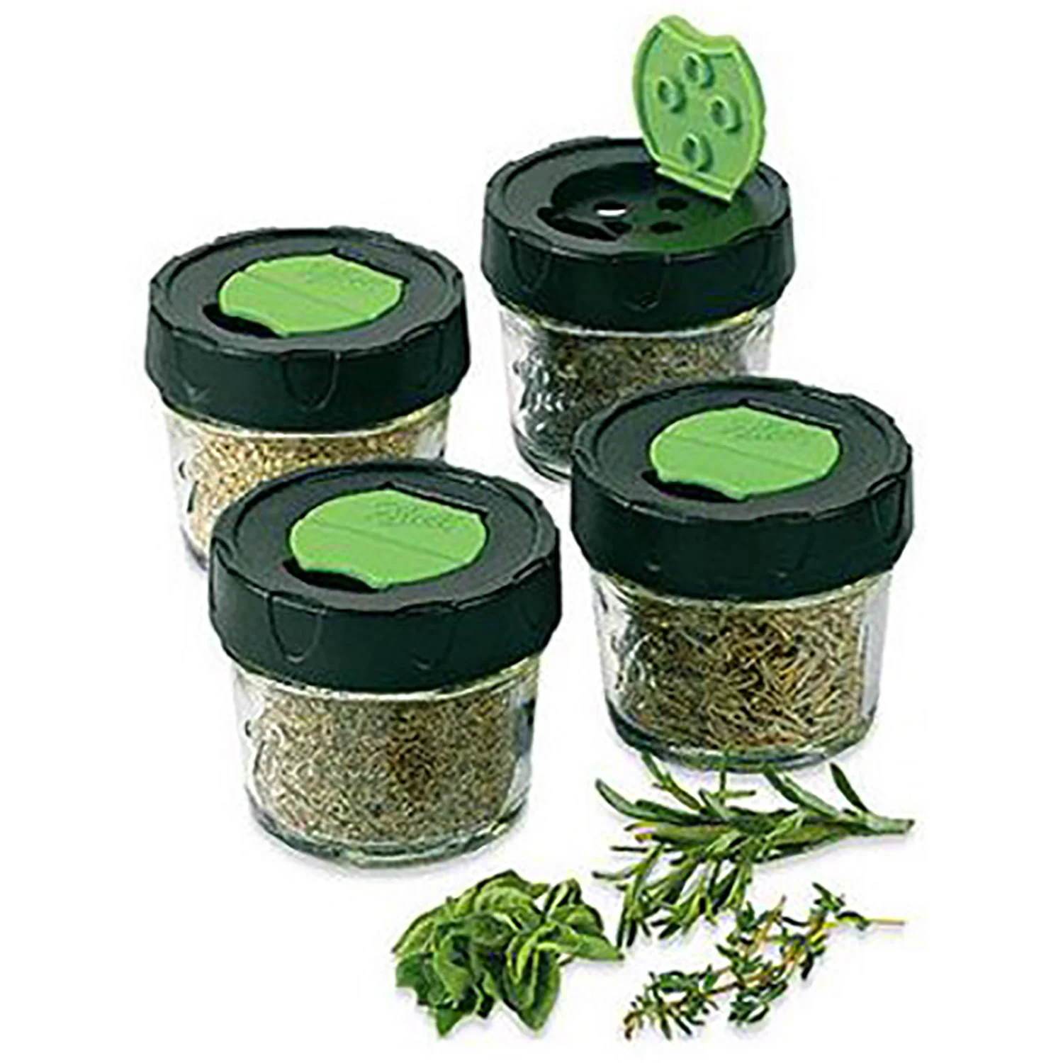Ball 4-Pack Culinary Dry Herb Storage Jars , Clear, 4 Ounces
