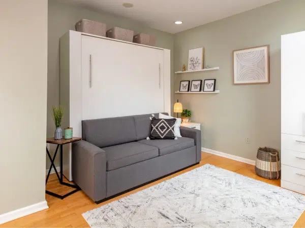 Sofa Wall Bed-furniture