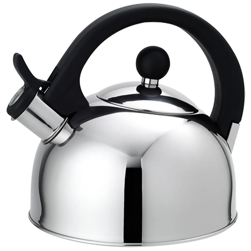 Home Basics Whistling Tea Kettle, Mirror Finish Silver, 2.5 Liter