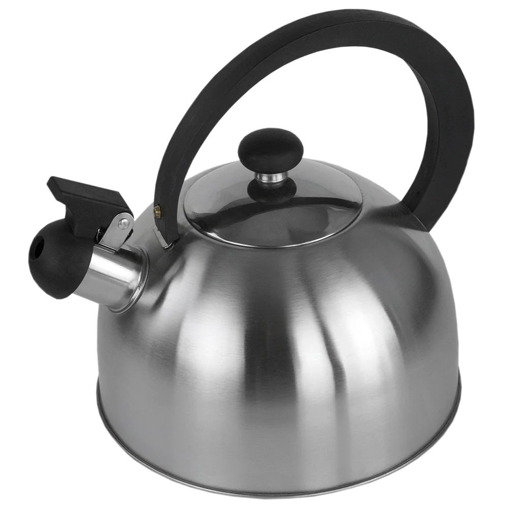 Home Basics Stainless Steel Tea Kettle, Silver, 85 Ounces