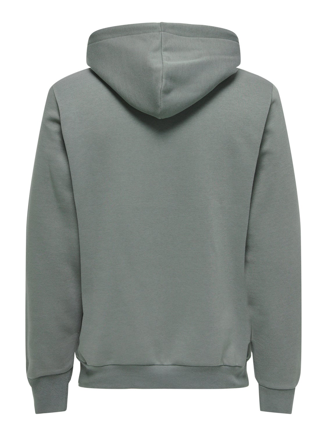 Regular Fit Sweat Hoodie