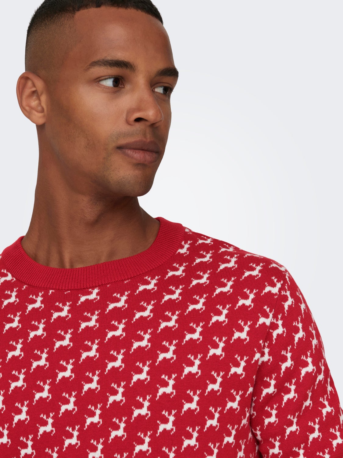 Crewneck christmas knitted pullover