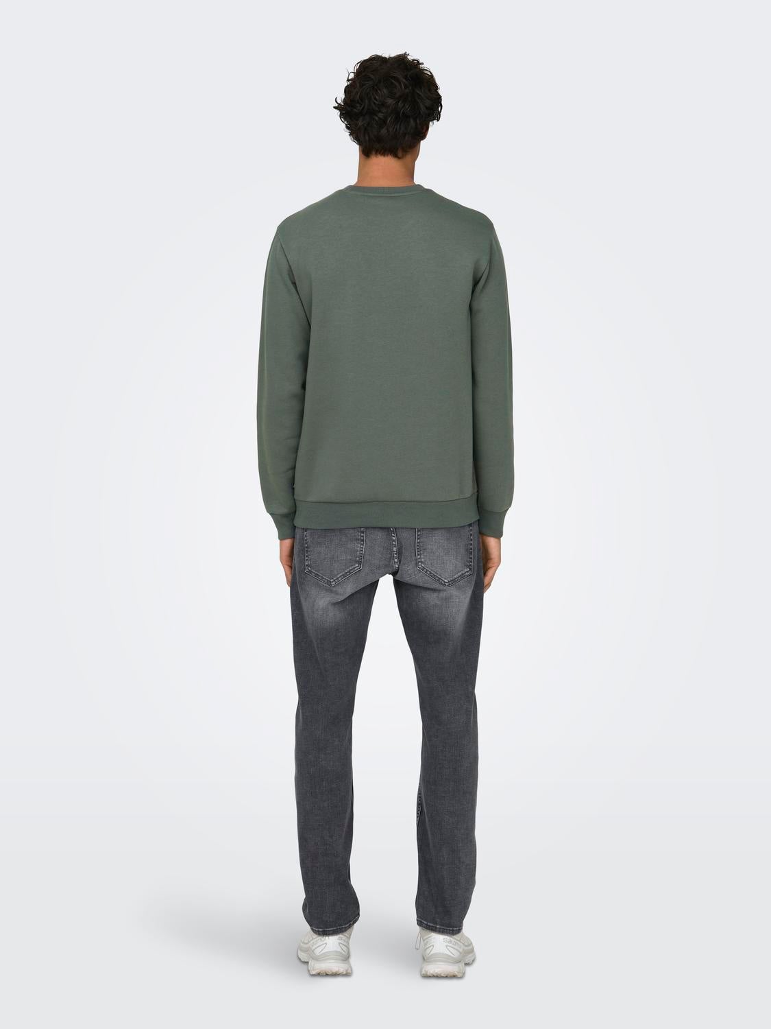 Regular Fit O-Neck Sweatshirt