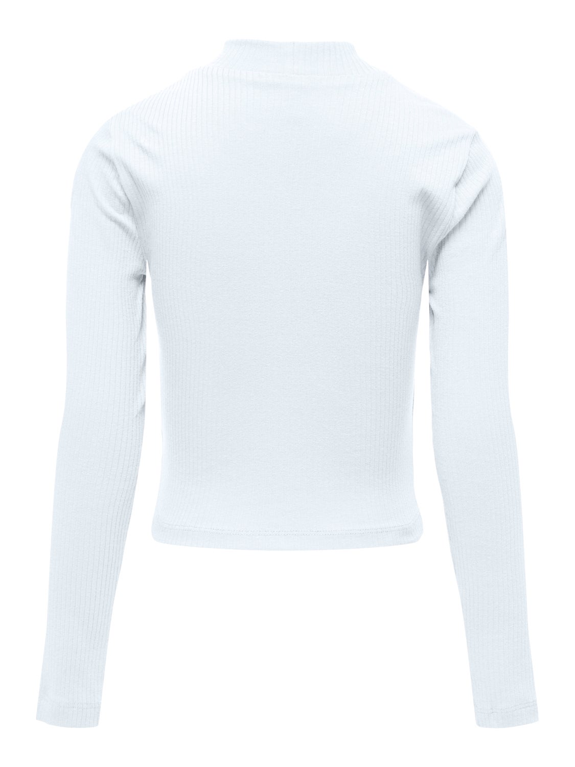 Regular Fit High neck Top