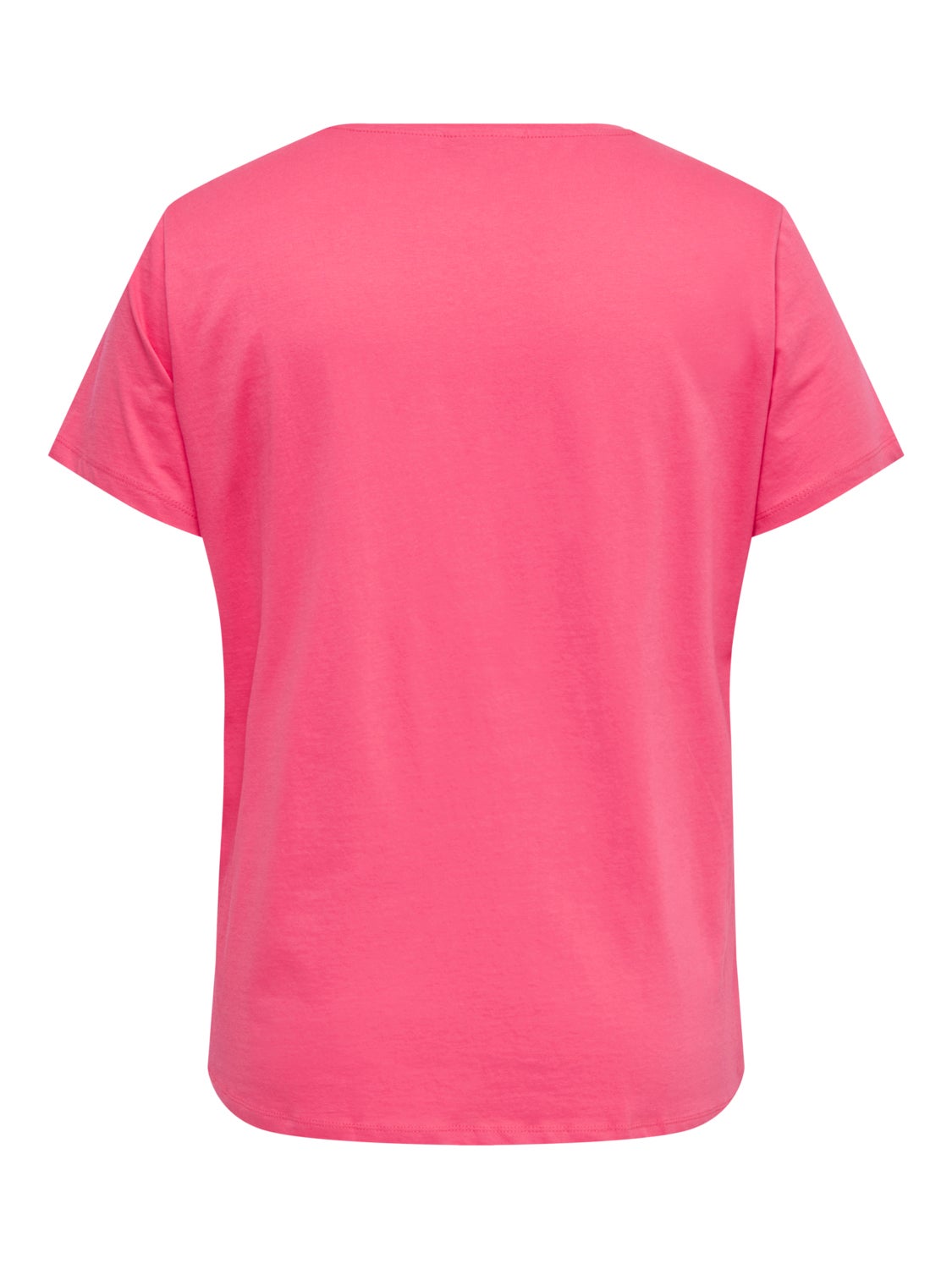 Regular Fit V-Neck T-Shirt