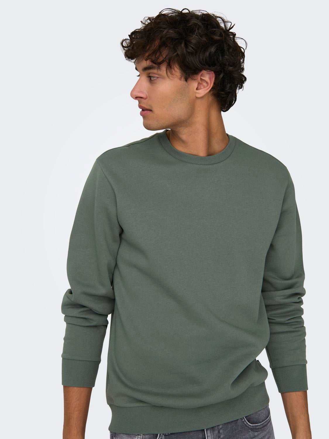 Regular Fit O-Neck Sweatshirt