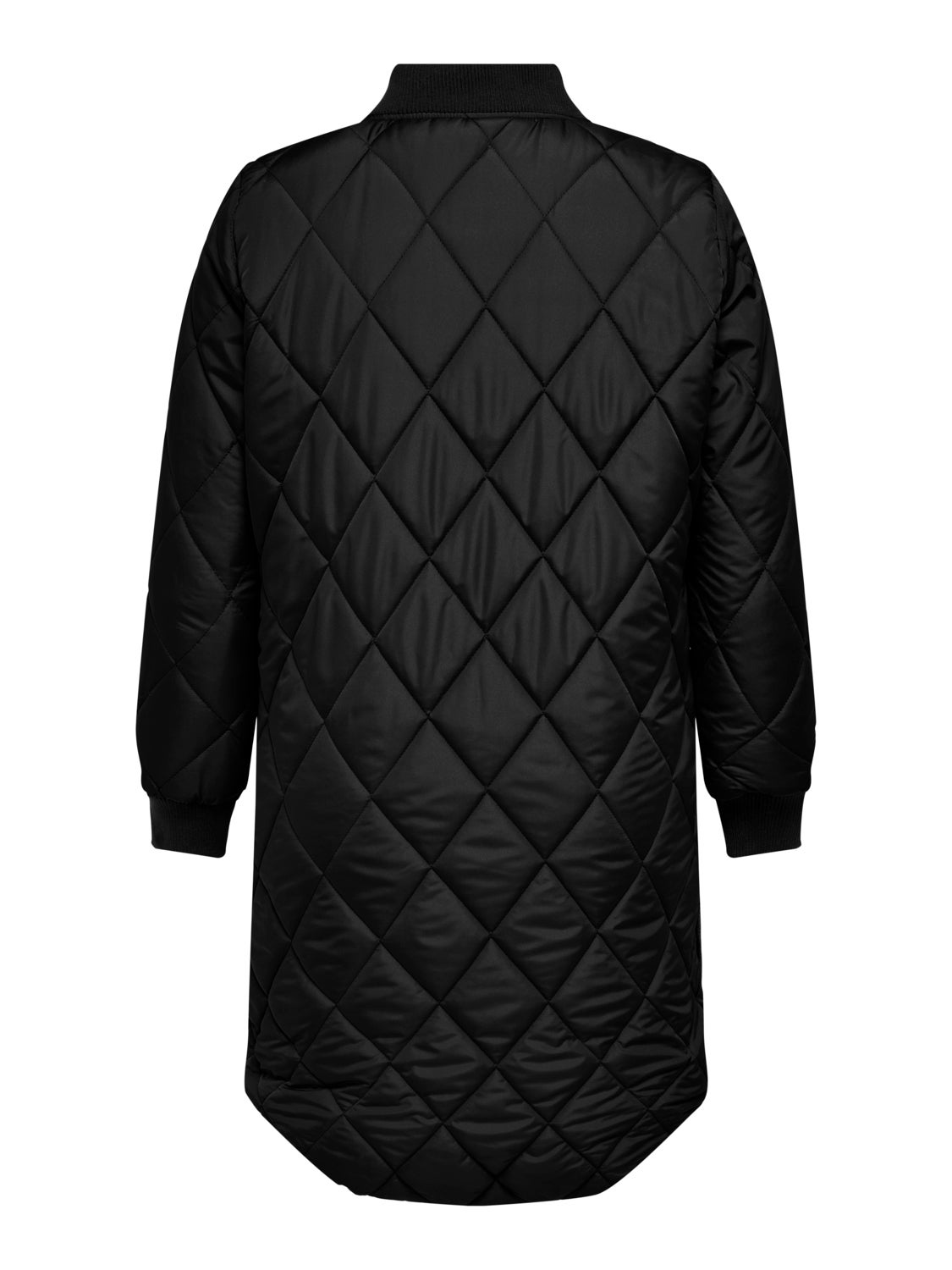Curvy quilted Jacket