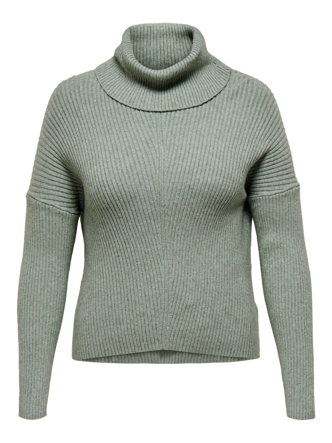 Curvy Roll neck Pullover