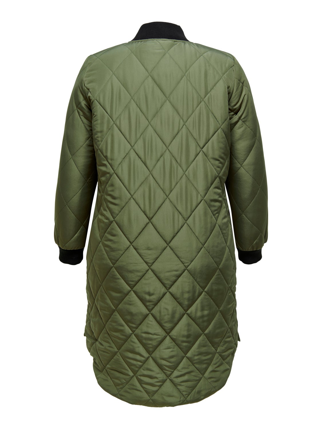 Curvy quilted Jacket