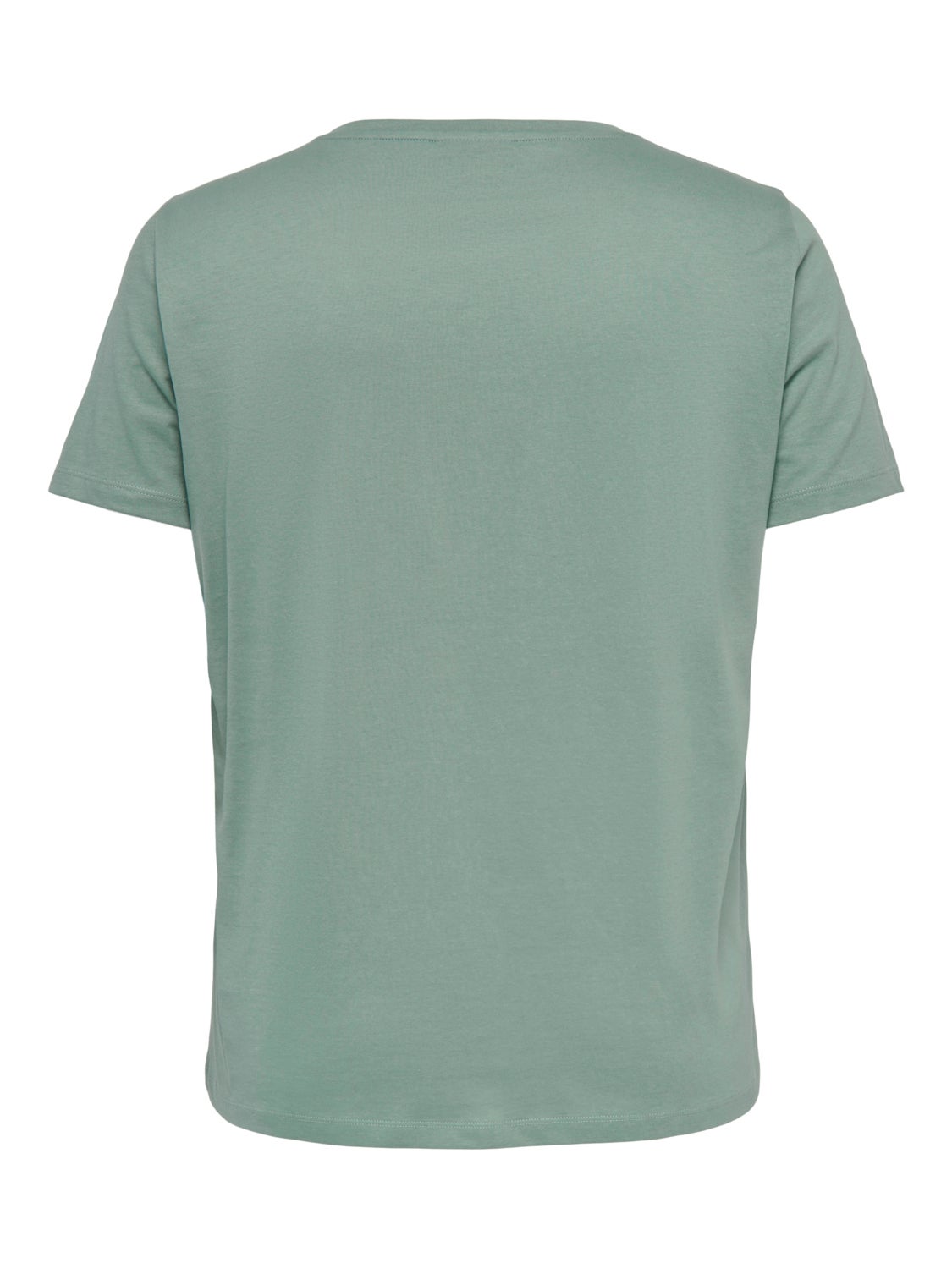 Regular Fit V-Neck T-Shirt