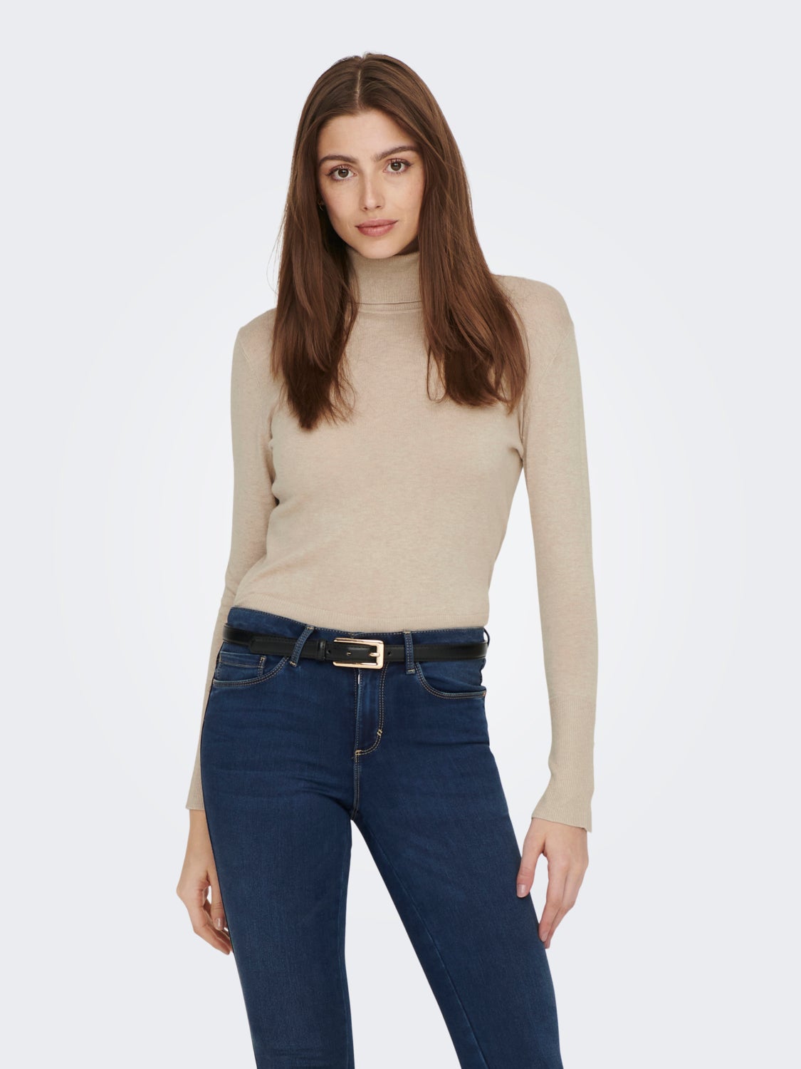 Rollneck silk Knitted Pullover