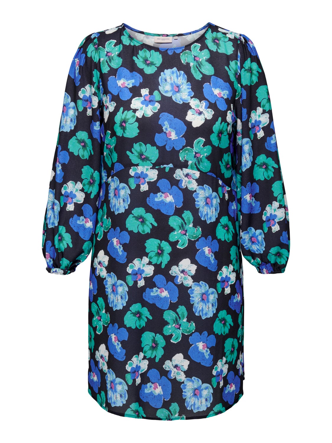 Curvy Printed Long Sleeved dress