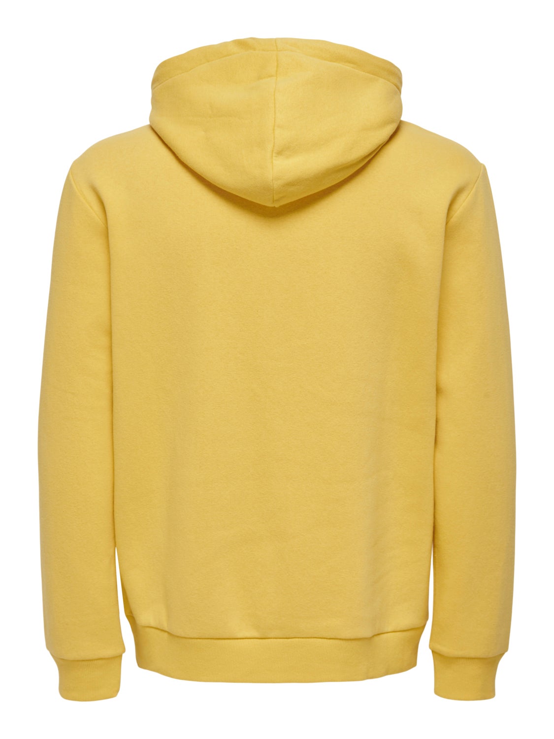 Regular Fit Sweat Hoodie