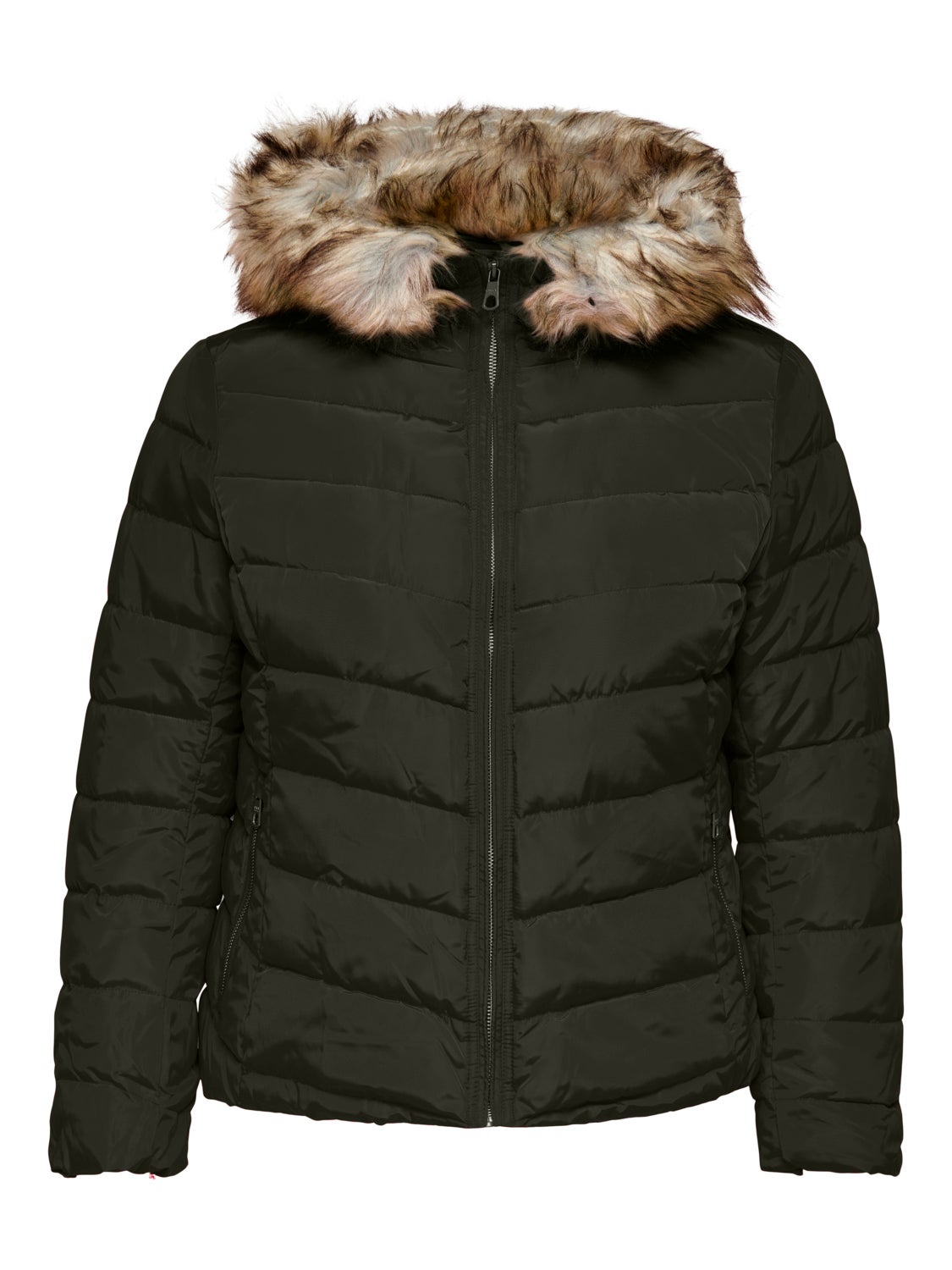 Curvy quilted hood Jacket