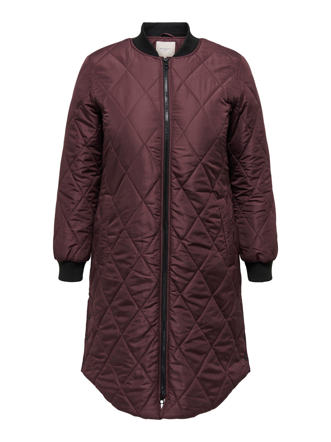 Curvy quilted Jacket
