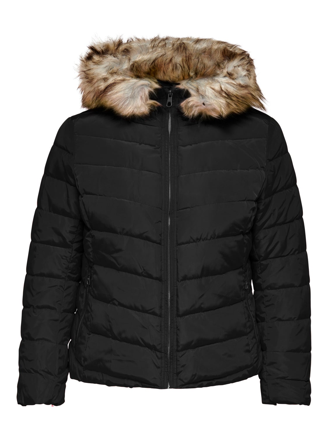 Curvy quilted hood Jacket