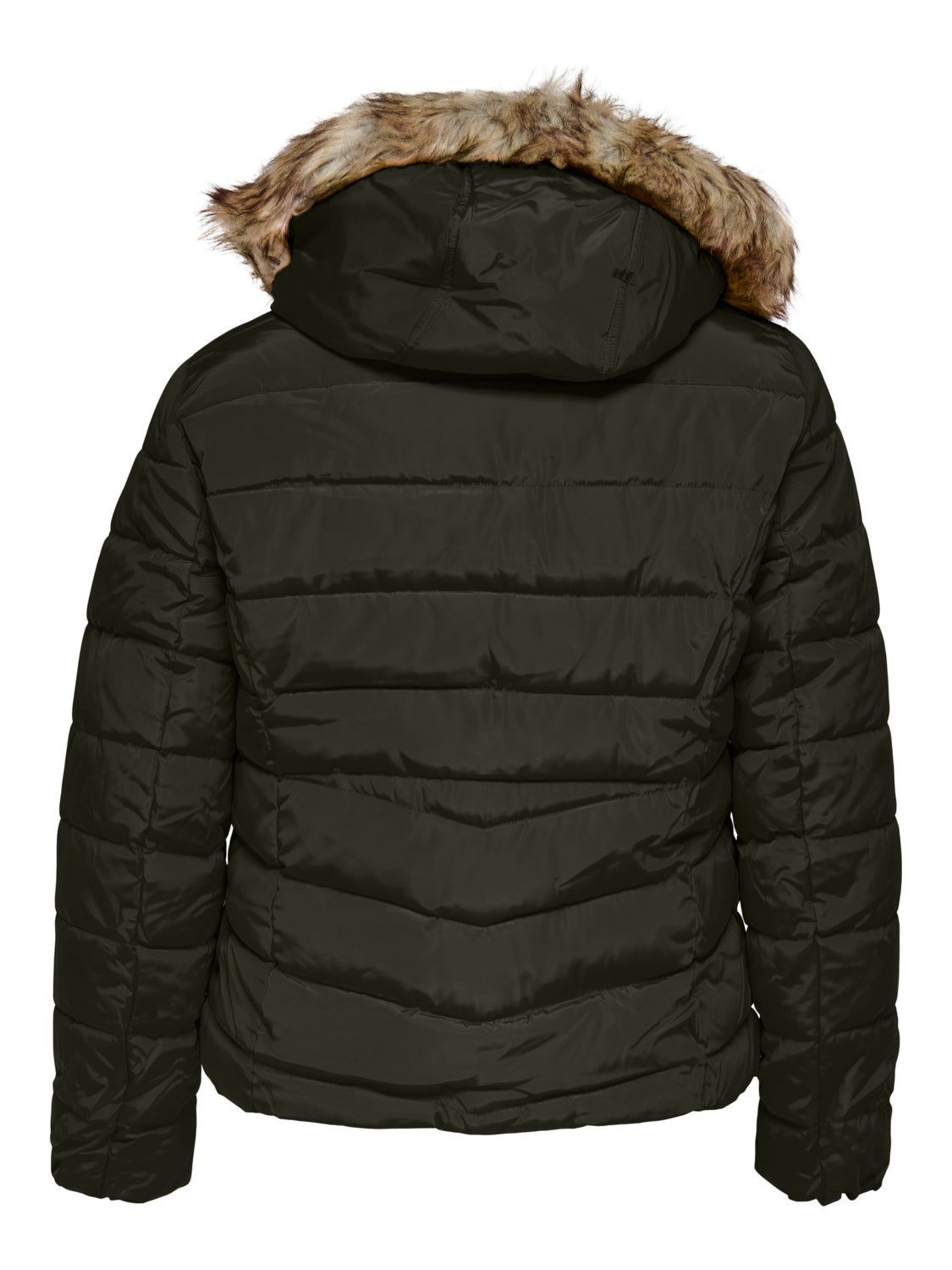 Curvy quilted hood Jacket